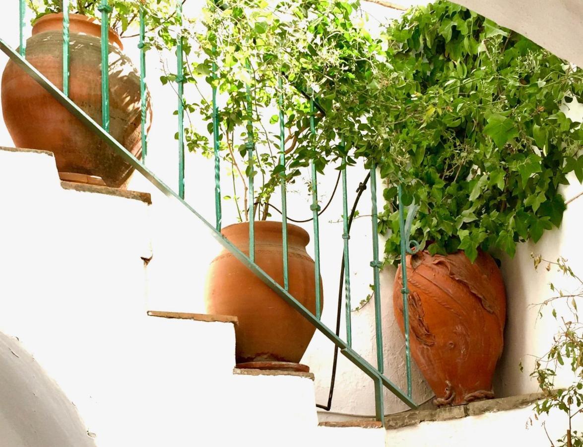 Casa Del Patio Arabe Casas Vejer Debra Villa เวเฮร์ เด ลา ฟรอนเตรา ภายนอก รูปภาพ